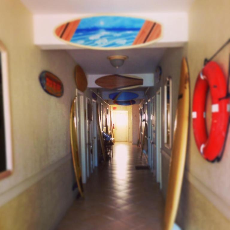 Surf Inn Hotel Hollywood Værelse billede